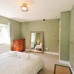 Yew Tree *