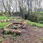 Feriehus Yew Tree Wigton