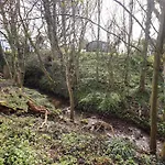 Yew Tree Feriehus *