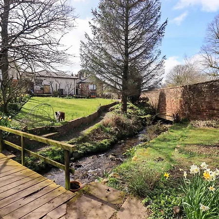 Yew Tree Holiday home *