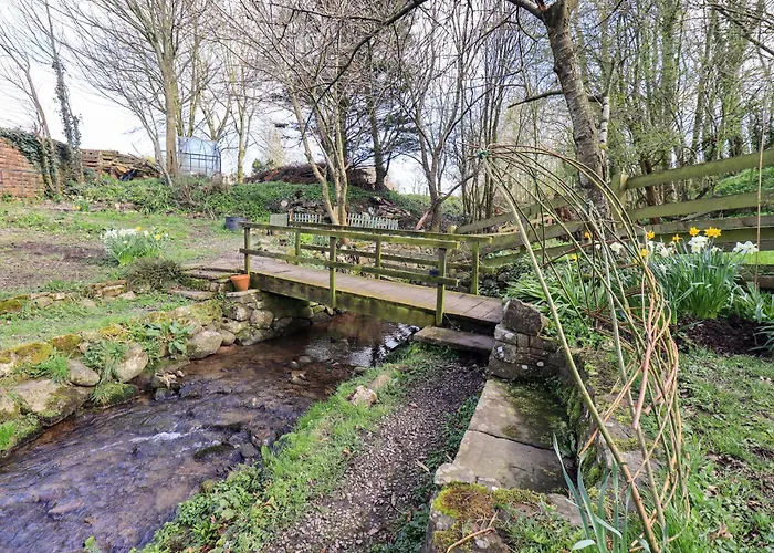 Yew Tree Holiday home *